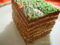 Tort Ursulet